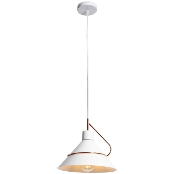 Подвесной светильник с 1 плафоном Lussole LSP-8264 BOSSIER IP21 под лампу 1xE27 60W