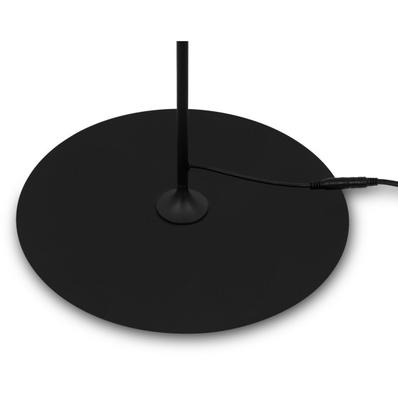 Напольный светильник (торшер) Freya FR5606FL-L9B