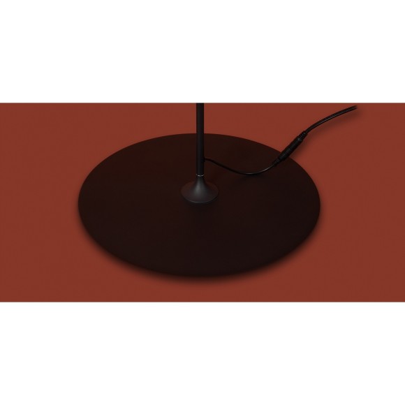 Напольный светильник (торшер) Freya FR5606FL-L9B