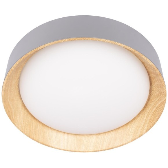 10202 Grey Потолочный светильник LOFT IT Coin