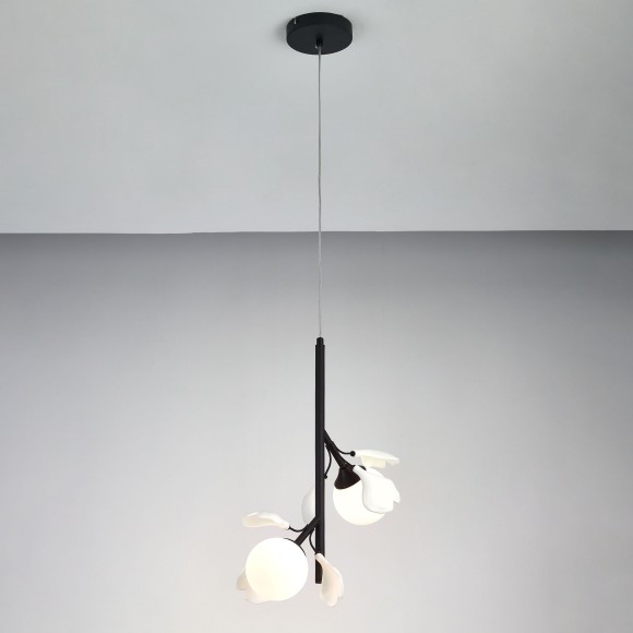 Подвес Ceramo BW Lightstar 799027