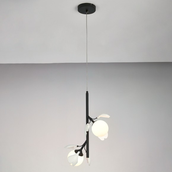 Подвес Ceramo BW Lightstar 799027