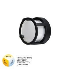 Уличный потолочный светильник Arte Lamp ULYSSES A6206PF-1BK