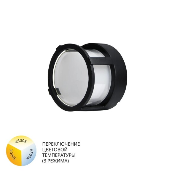 Уличный потолочный светильник Arte Lamp ULYSSES A6206PF-1BK