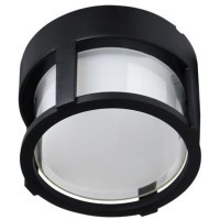 Уличный потолочный светильник Arte Lamp ULYSSES A6206PF-1BK