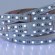 A2406012-01-RGB4K Светодиодная лента 24В 14,4Вт/м RGB+4000К CRI 90+ 10мм SMD5050 60шт/м 5м IP20