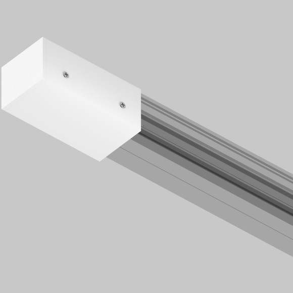 Заглушка к профилю Maytoni Elasity IP O-TR001-EC-W Заглушка к профилю Maytoni Elasity IP O-TR001-EC-W