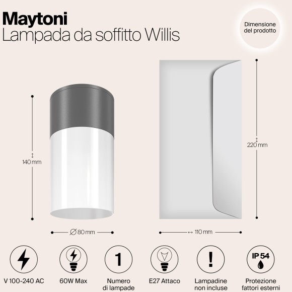 Потолочный светильник Outdoor O418CL-01GR