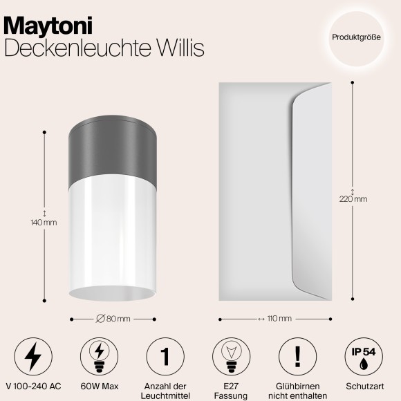 Потолочный светильник Outdoor O418CL-01GR