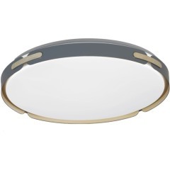 Потолочный светильник Paneli LDC 8063-48W BL