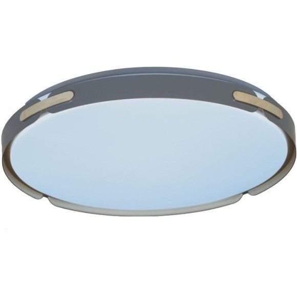 Потолочный светильник Paneli LDC 8063-48W BL