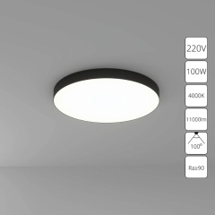 Потолочный светильник Arte Lamp FADO A6699PL-1BK Потолочный светильник Arte Lamp FADO A6699PL-1BK