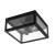 Уличный потолочный светильник Arte Lamp A4569PF-2BK BELFAST IP44 под лампы 2xE27 60W