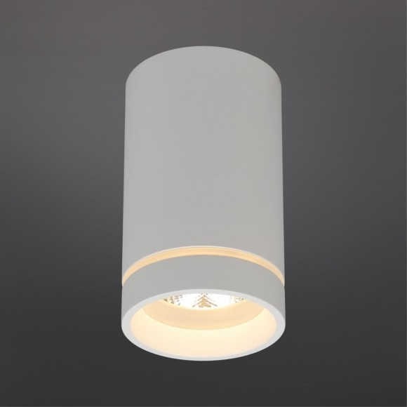 Потолочный спот APL.0053.09.10