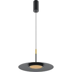 Подвесной светильник Maytoni MOD041PL-L15B3K1