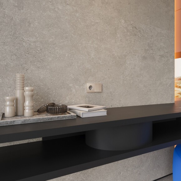 VLSM000610 Накладка металлическая для розетки с заземлением платинового цвета VOLTUM S70 Metal (платина)