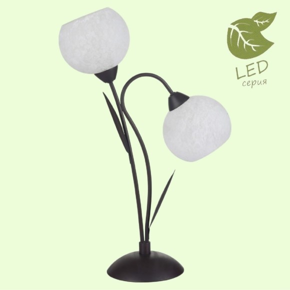Декоративная настольная лампа Lussole GRLSF-6294-02 BAGHERIA IP21 под лампы 2xE14 6W