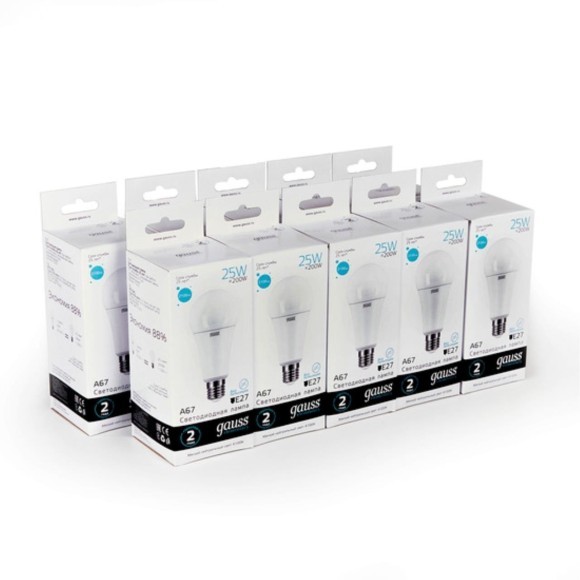 73225 Лампа Gauss LED Elementary A67 25W E27 2100lm 4100K 1/10/50