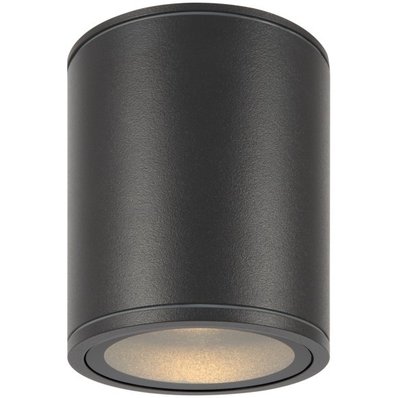 Уличный потолочный светильник Maytoni O306CL-L12GF Bar IP65 светодиодный LED 12W