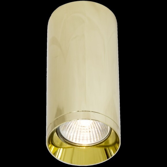 Потолочный светильник Technical C010CL-01G