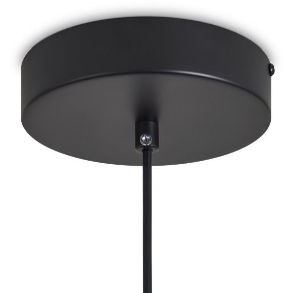 Подвесной светильник Freya FR6131PL-L13B Подвесной светильник Freya FR6131PL-L13B