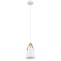Подвесной светильник с 1 плафоном Arte Lamp A7032SP-1WH THOMAS под лампу 1xE27 60W