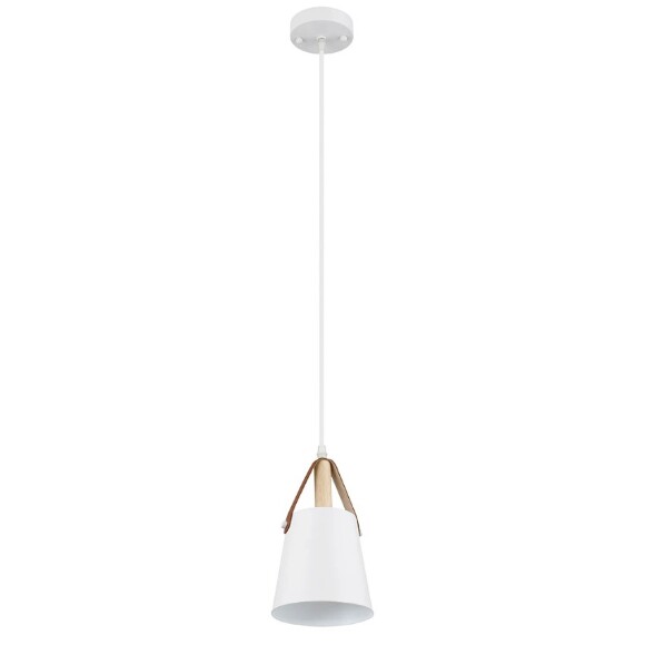 Подвесной светильник с 1 плафоном Arte Lamp A7032SP-1WH THOMAS под лампу 1xE27 60W