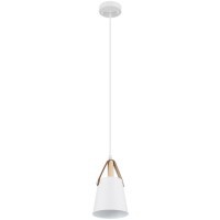 Подвесной светильник с 1 плафоном Arte Lamp A7032SP-1WH THOMAS под лампу 1xE27 60W