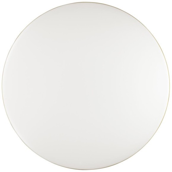 Настенно-потолочный светильник светодиодный для ванной с пультом и управлением смартфоном регулировкой цветовой температуры и яркости ночным режимом Lassa 3043/DL IP43