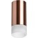 Накладной потолочный светильник Lightstar R43031 RULLO под лампу 1xGU10 50W