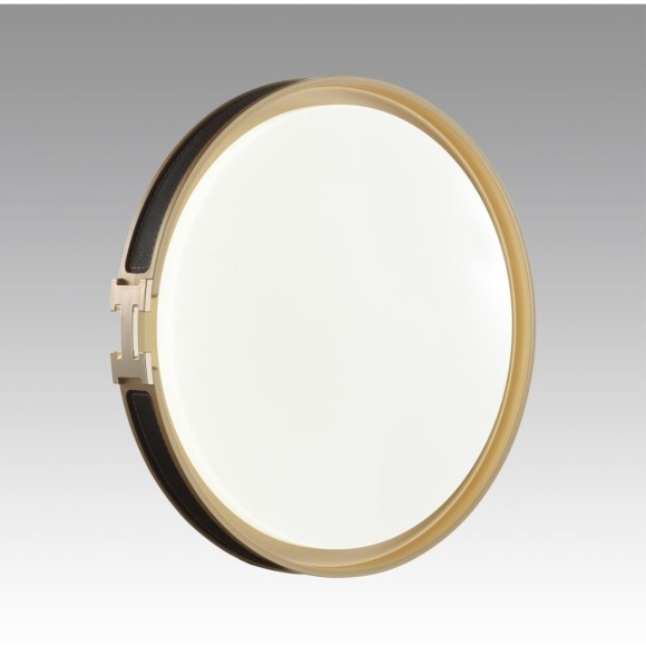 Настенно-потолочный светильник СОНЕКС FAVEMO BLACK 7667/DL