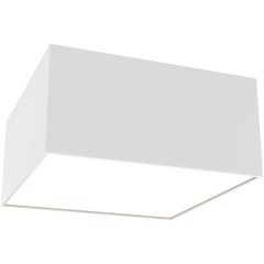 Потолочный светильник Technical C032CL-12W4K-SQ-W