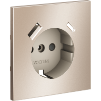 VLSM001010 Накладка металлическая для розетки с заземлением и защитными шторками, с зарядкой от USB (ТИП С + ТИП A)  платинового цвета VOLTUM S70 Metal (платина)