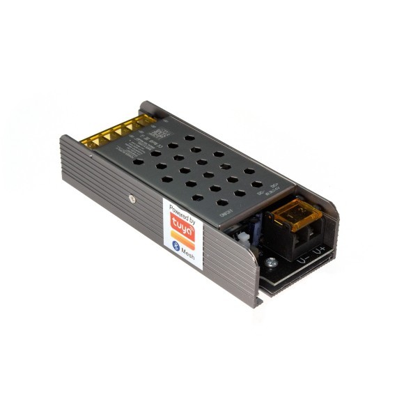 Контроллер для управления монохромной лентой (1 цвет) Lightstar Lightstar 424911