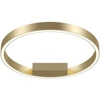 Потолочный светильник Maytoni MOD058CL-L25BSK