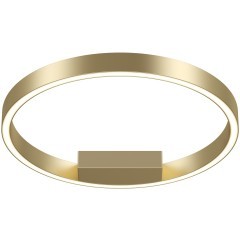 Потолочный светильник Maytoni MOD058CL-L25BSK