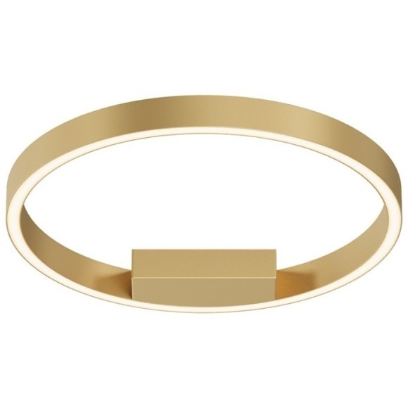 Потолочный светильник Maytoni MOD058CL-L25BSK