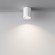 Уличный потолочный светильник Maytoni C029CL-01W Zoom IP65 под лампу 1xGU10 50W