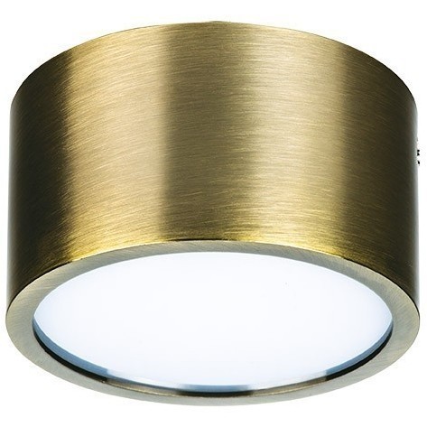 Уличный потолочный светильник Lightstar 213911 Zolla IP44 светодиодный LED 100W