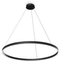 Подвесной светильник Maytoni MOD058PL-L54BK