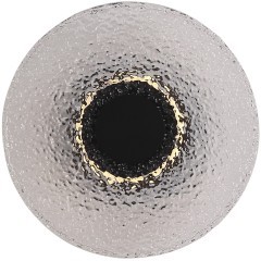 SL6142.411.01 Светильник настенный ST-Luce черный/дымчатый LED 1*7W 4000K ALUMNO