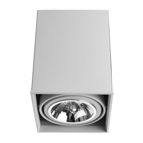 Точечный накладной светильник Arte Lamp CARDANI GRANDE A5936PL-1WH