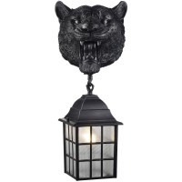 Настенный фонарь уличный Hunt 2253-1W