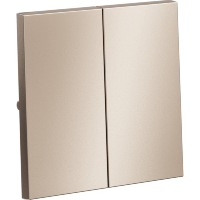 VLSM000310 Клавиши металлические для выключателя и переключателя двухклавишного платинового цвета VOLTUM S70 Metal (платина)