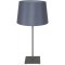 Интерьерная настольная лампа с выключателем Milton GRLSP-0520