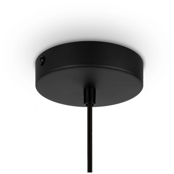 Подвесной светильник Maytoni MOD193PL-01W Подвесной светильник Maytoni MOD193PL-01W