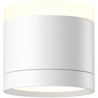 Потолочный светильник Pauline GX53 12Вт C120CL-GX53-W