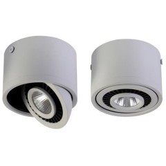 Точечный светильник Reflector 1775-1C