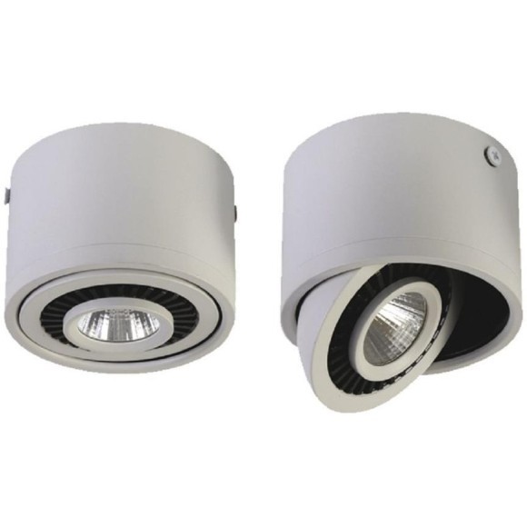 Точечный светильник Reflector 1775-1C