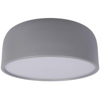 10201/350 Grey Потолочный светильник LOFT IT Axel